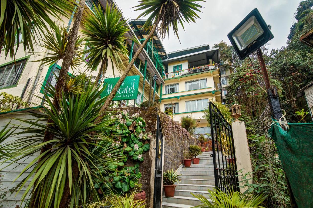 Muscatel Himalayan Resort - 400 Mts From Mall Road ดาร์จีลิง ภายนอก รูปภาพ